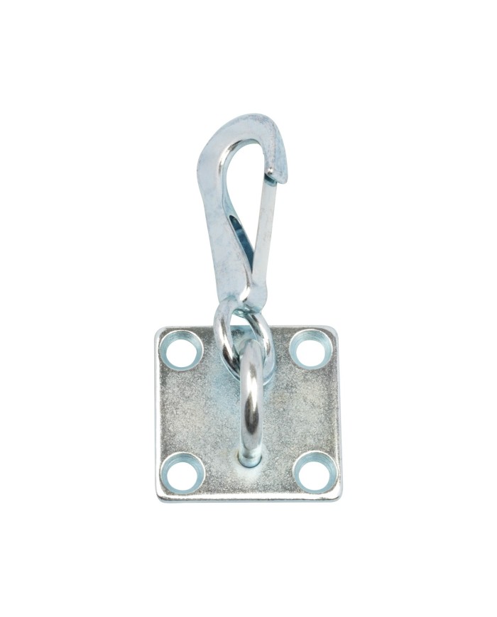 SPRING SNAP HOOK ON WALL PLATE