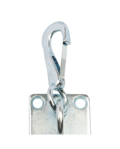 SPRING SNAP HOOK ON WALL PLATE