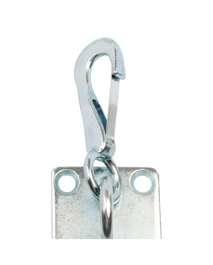 SPRING SNAP HOOK ON WALL PLATE