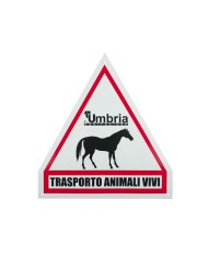 CARTELLO TRASPORTO CAVALLI