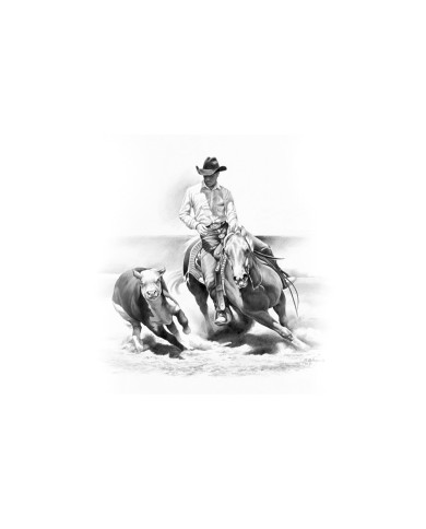 STAMPA SOGGETTI EQUESTRI