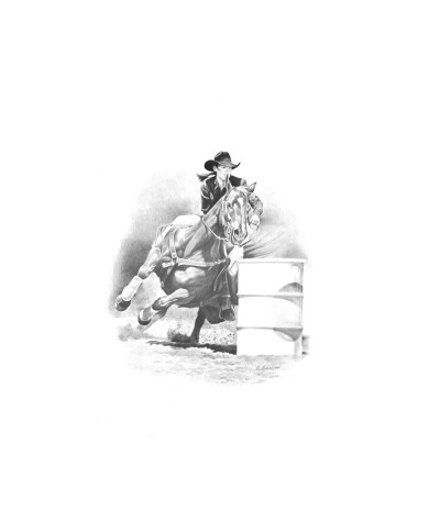 STAMPA SOGGETTI EQUESTRI