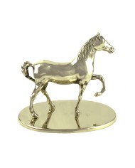 TROFEO CAVALLO OTTONE