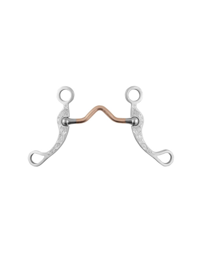MORSO CORRECTIONAL INOX ASTE DECORATE POOL S