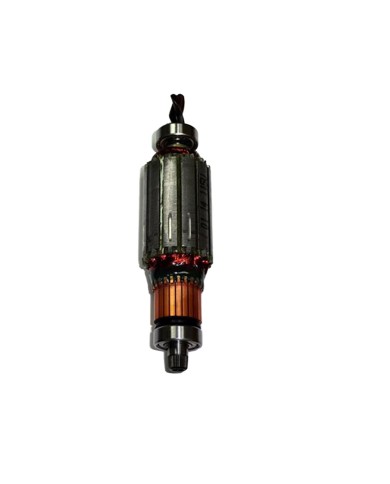 ROTOR 120 V