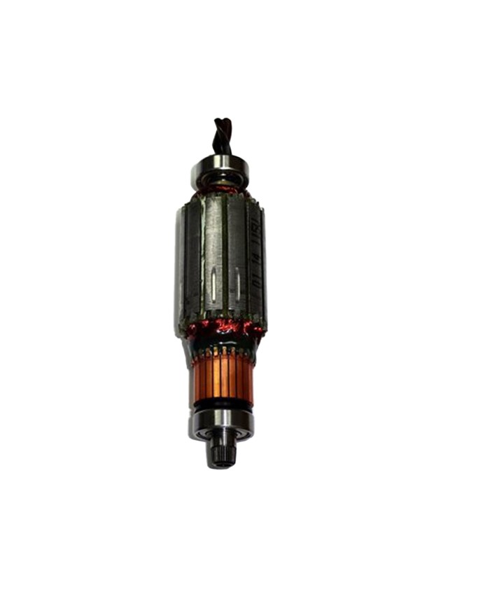 ROTOR 120 V