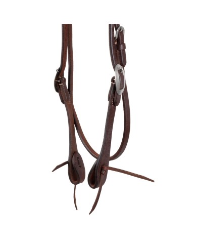 WESTERN FUTURITY BRIDLE