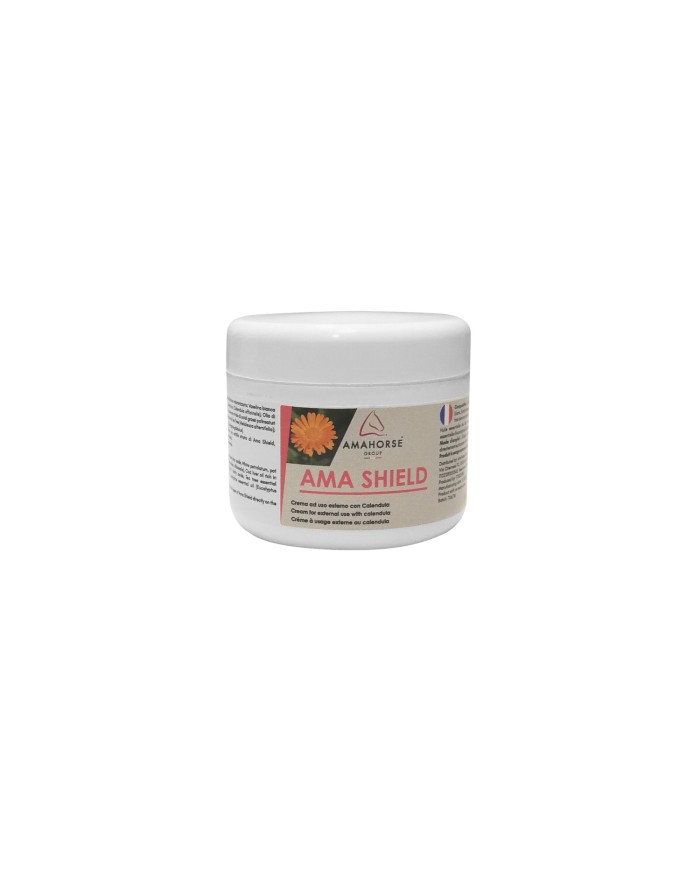 AMA SHIELD SCUDO (250 GR) lotto PF045/22