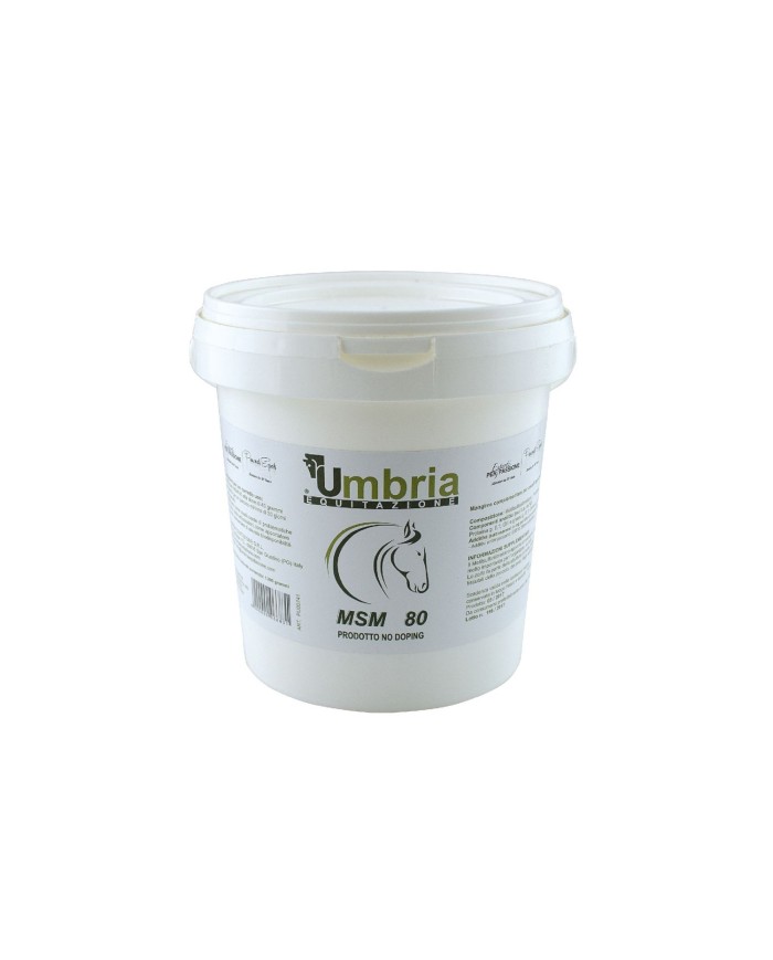 MSM (1.2 KG)