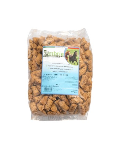 BISCOTTI LE BONTA SEMI DI LINO (1 KG)