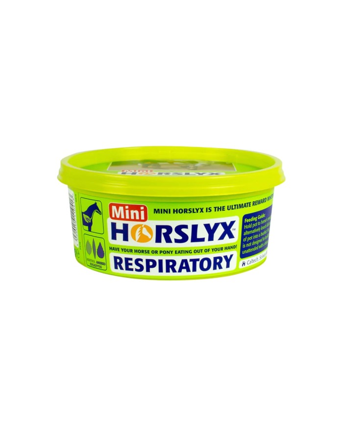 HORSLYX RESPIRATORY MINI 650g