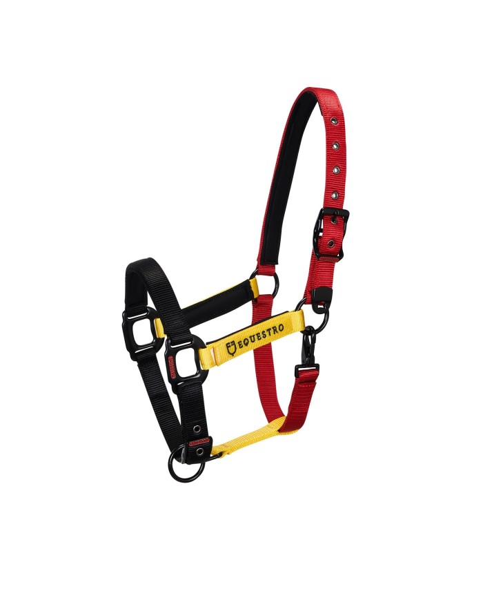 CAVEZZA EQUESTRO FLAGGY + LUNGHINA