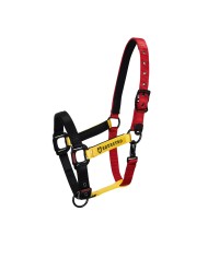 CAVEZZA EQUESTRO FLAGGY + LUNGHINA