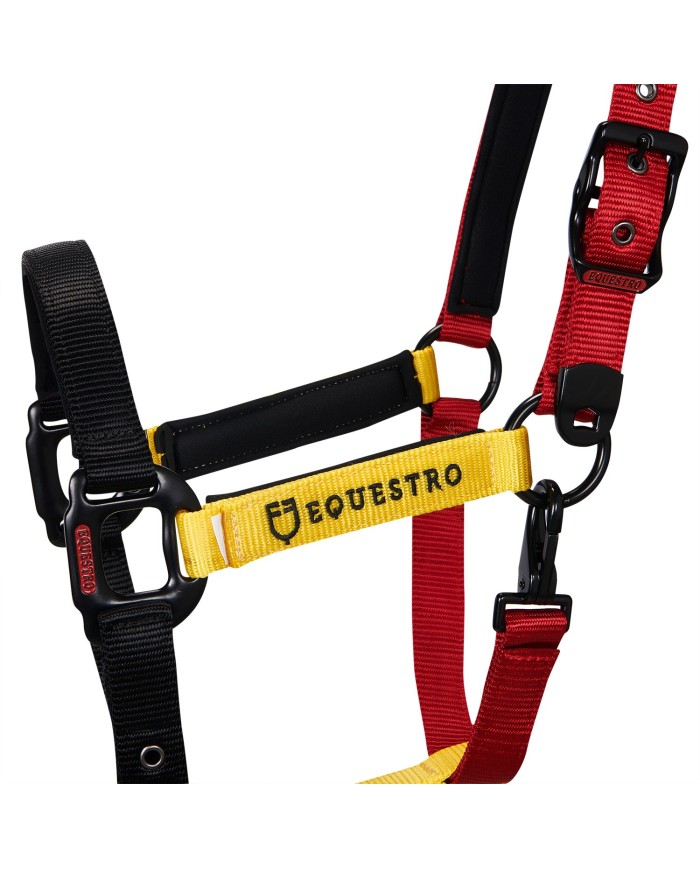 CAVEZZA EQUESTRO FLAGGY + LUNGHINA