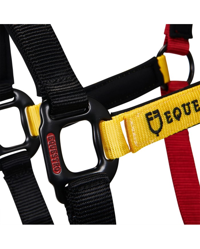 CAVEZZA EQUESTRO FLAGGY + LUNGHINA
