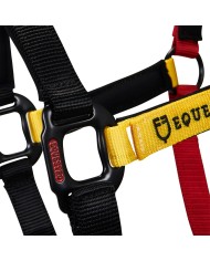 CAVEZZA EQUESTRO FLAGGY + LUNGHINA