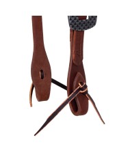 TESTIERA PROFESSIONAL S CHOICE IN CUOIO GRASSO DA 5/8 CON FIBBIA RASP
