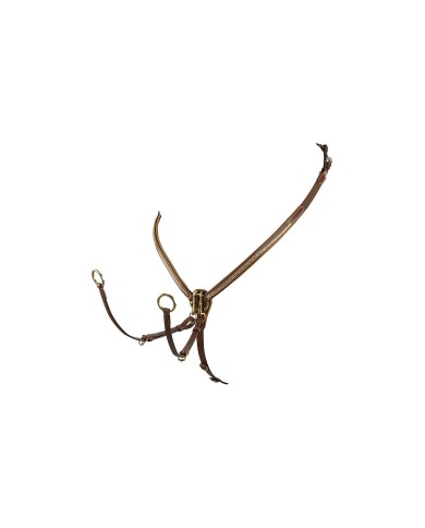 PETTORALE BRASS CLINCHER