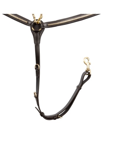 PETTORALE BRASS CLINCHER