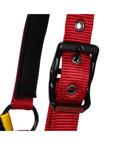 Cavezza in nylon con gancio moschettone Cavezza in nylon con gancio moschettone