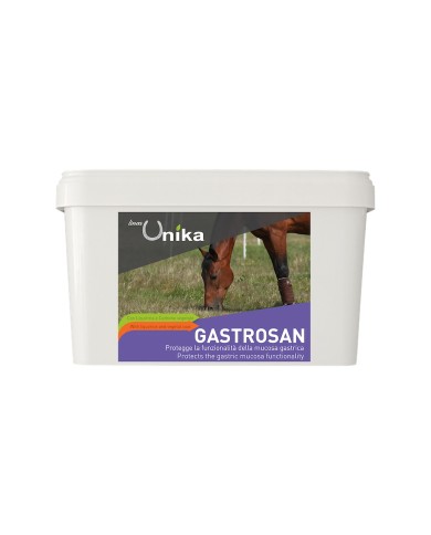 GASTROSAN (1.5 KG)