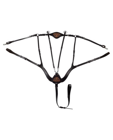 ANATOMICAL LEATHER 5 POINT ATTACHMENT BREASTPLATE