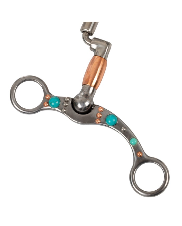 TURQUOISE TRIM CORRECTIONAL BIT