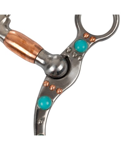 TURQUOISE TRIM CORRECTIONAL BIT