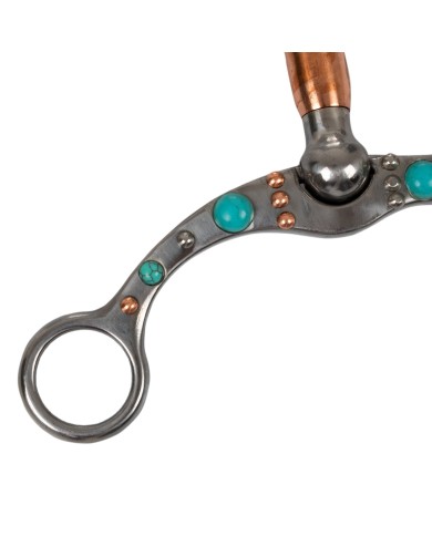 TURQUOISE TRIM CORRECTIONAL BIT