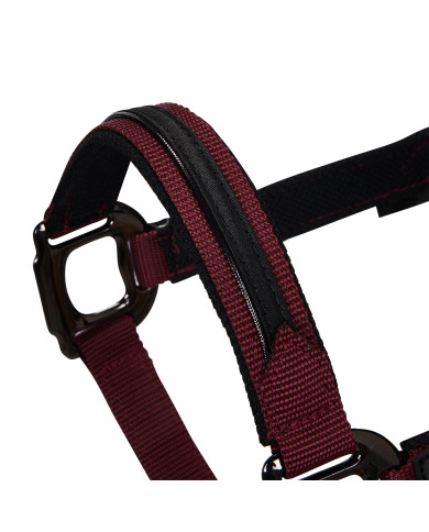 Cavezza in pile resistente Cavezza in pile resistente