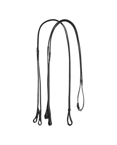 DOPPIE REDINI DRESSAGE EQUESTRO