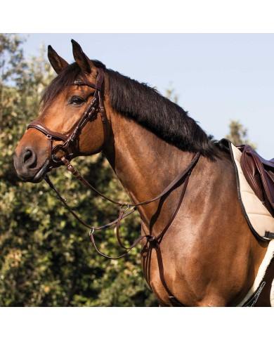 ACAVALLO COW PLAIN MARTINGALE
