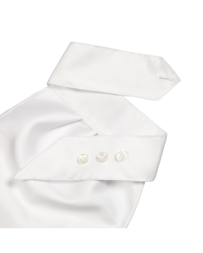 PLASTRON EQUESTROxFISE