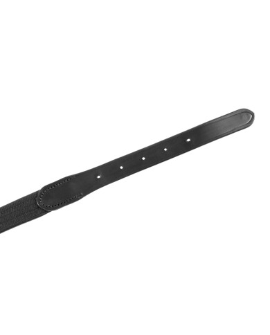 WEB DOG COLLAR