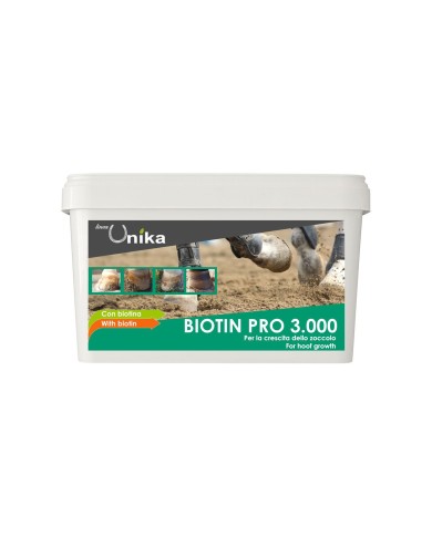 BIOTIN PRO 3000 (1 KG) LU0006